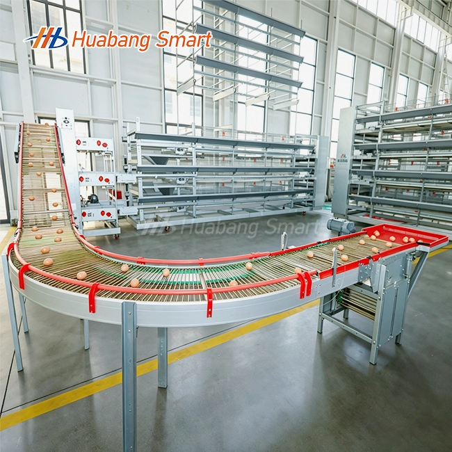 Poultry Cages For Layer Chickens